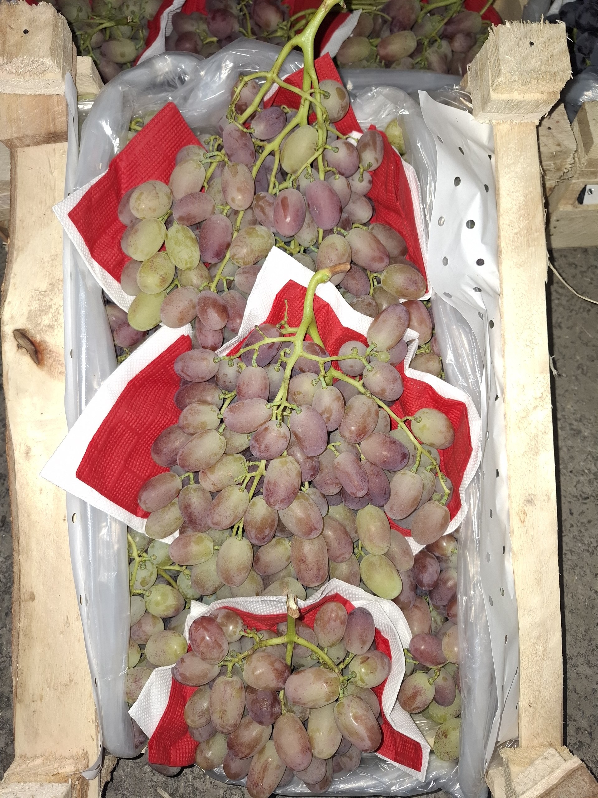 ZuhriddinAgro faoliyati 6